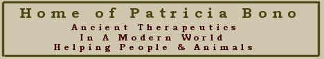 Patricia Bono - Ancient Therapeutics in a Modern World Helping People and Animals